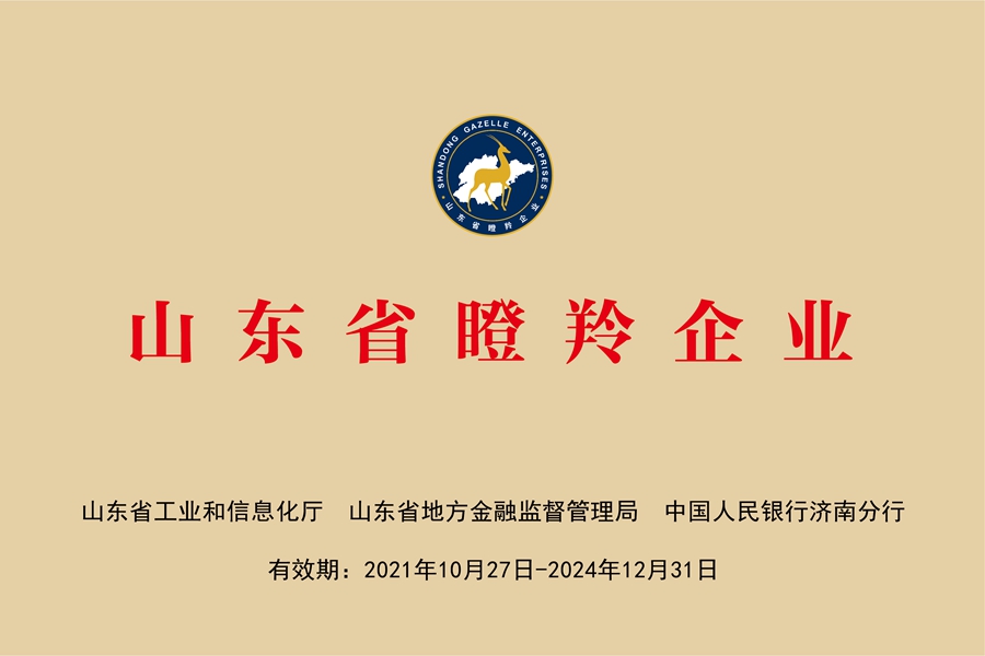 国网中电公司：山东省瞪羚企业